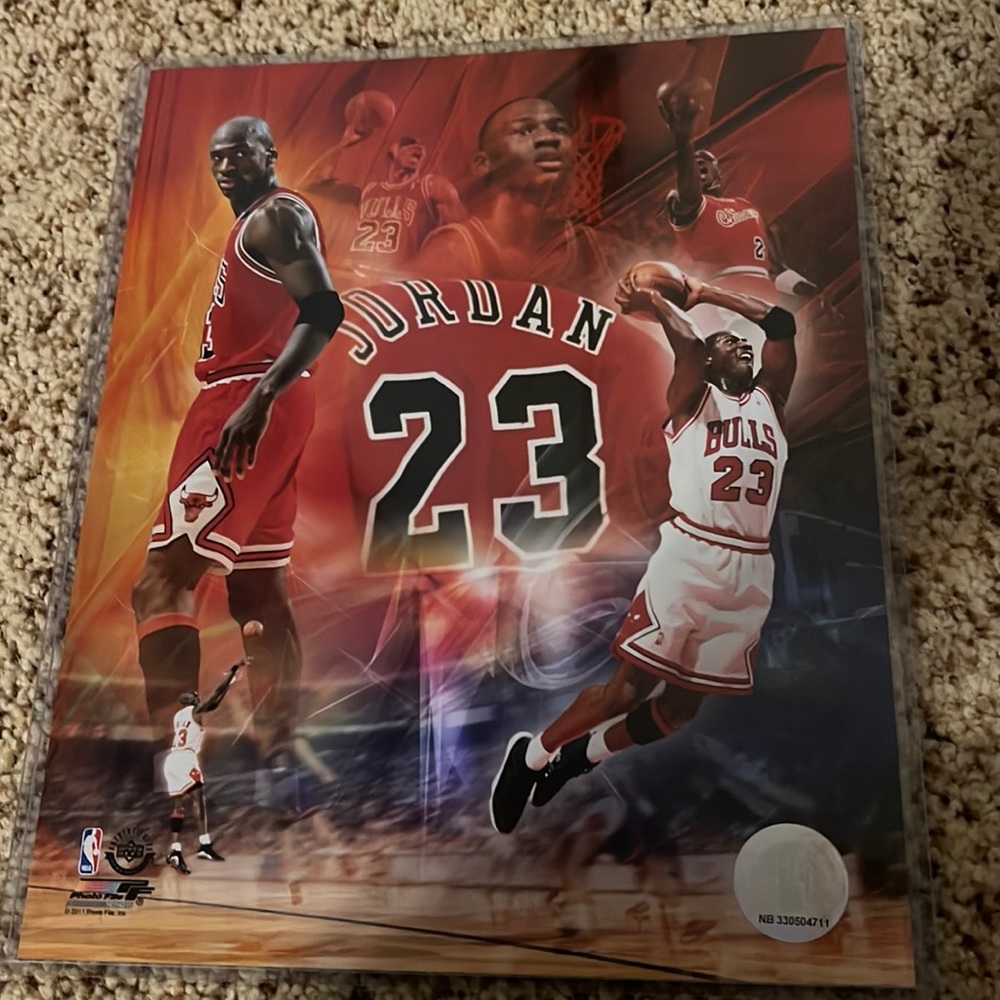 Micheal Jordan picture
